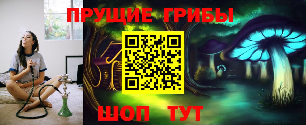Псилоцибиновые грибы GOLDEN TEACHER  Вход с VPN  Волгоград 
