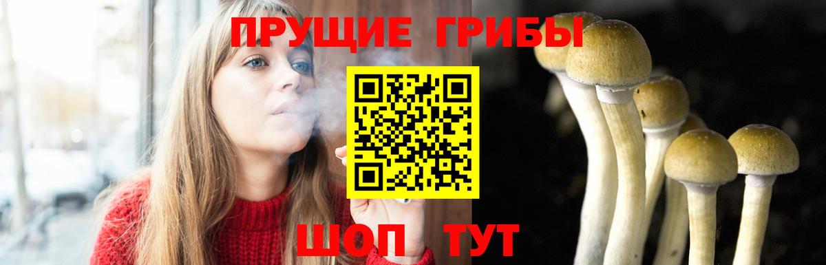 Галлюциногенные грибы GOLDEN TEACHER Волгоград